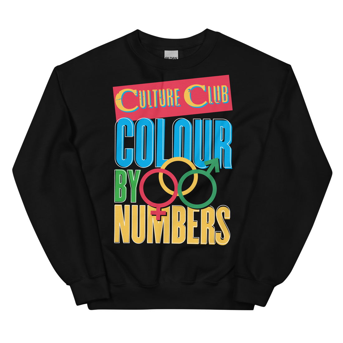 Colour By Numbers Sweatshirt Boy and Culture Club
